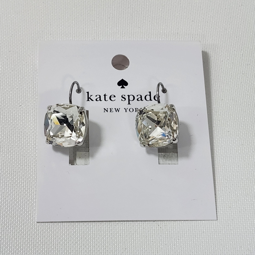 NWT Kate Spade Clear Small Square Leverback Earrings